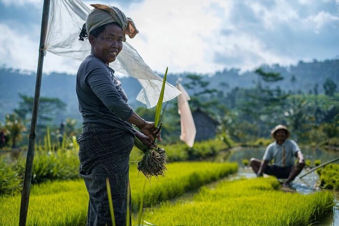Sidemen Trekking: A Walk from a Different Perspective - Why this Sidemen walk feels different from a standard Bali outing