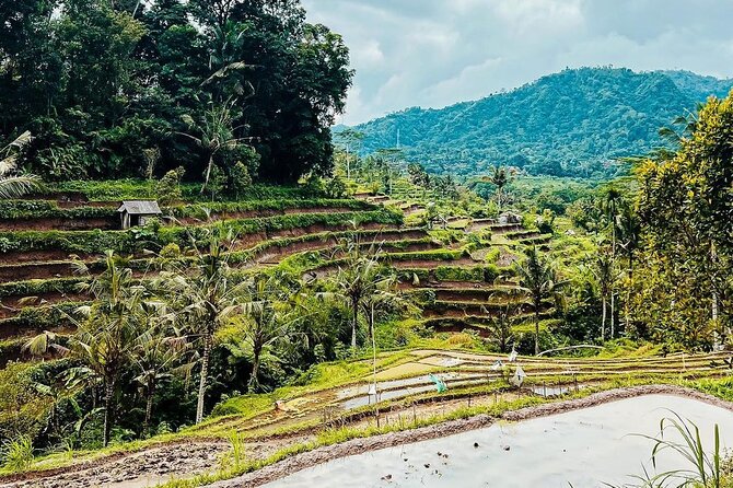 Sidemen Trekking: A Walk from a Different Perspective - Following the water toward the rice fields