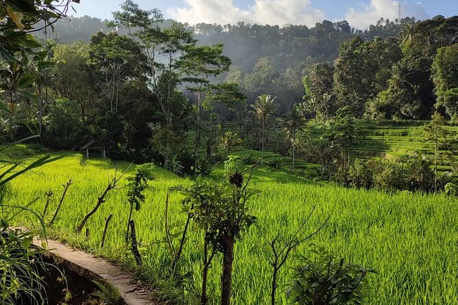 Sidemen Trekking: A Walk from a Different Perspective - The guide makes the difference