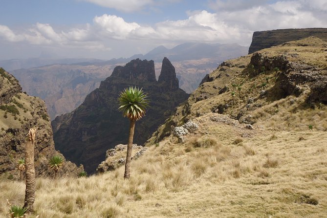 Simien Mountains National Park – 7 Day Trek - Day 7: Down to Adiarkay and back to Gondar