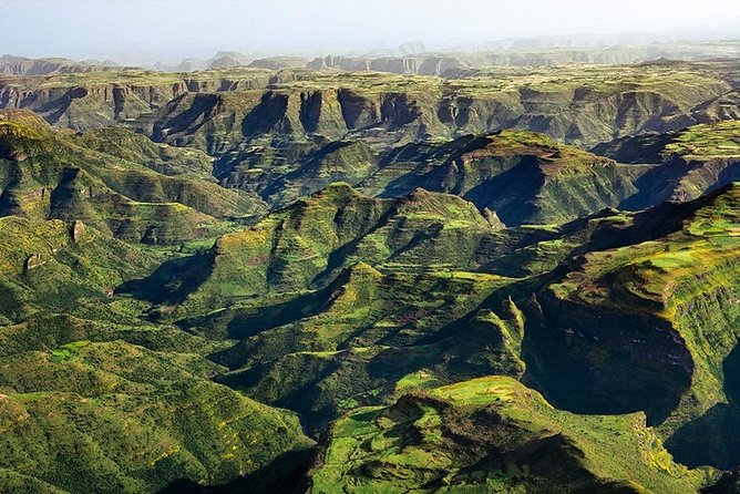 Simien Mountains National Park – 7 Day Trek - Wildlife: what you might see along the way