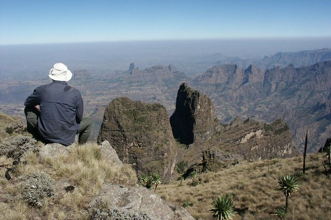 Simien Mountains Trekking Adventure - Day 3: Giant Lobelia and the high viewpoint at Imet Gogo