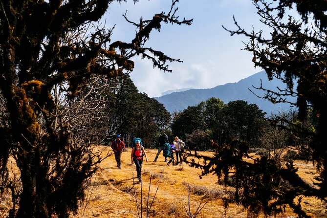 Singalila Ridge Trek from Darjeeling - 6 Days - Day 3: Sunrise, Sabargram, and the ridge toward Phalut