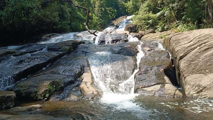 Sinharaja Rainforest: Tour with 5 Waterfalls Trek - Five waterfalls, one forest, and a long day inland