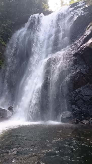 Sinharaja Rainforest: Tour with 5 Waterfalls Trek - The two-hour ride from the south coast