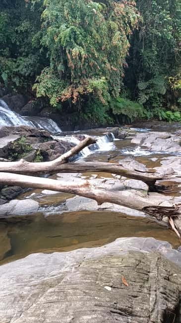 Sinharaja Rainforest: Tour with 5 Waterfalls Trek - Into Sinharaja with a rainforest tracker