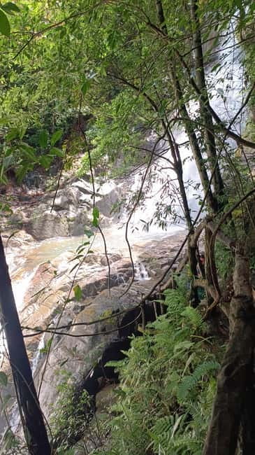 Sinharaja Rainforest: Tour with 5 Waterfalls Trek - Five waterfalls along a rough forest route