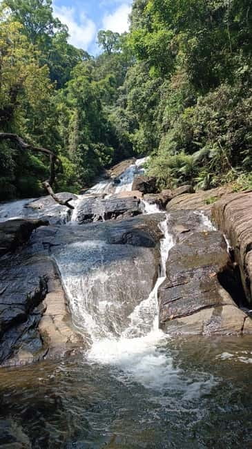 Sinharaja Rainforest: Tour with 5 Waterfalls Trek - Is $95 a fair price?