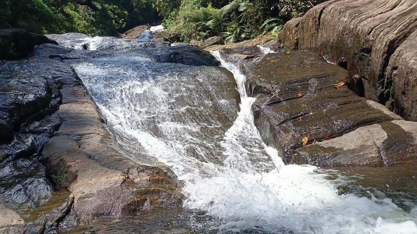 Sinharaja Rainforest: Tour with 5 Waterfalls Trek - What to pack for a wet forest day