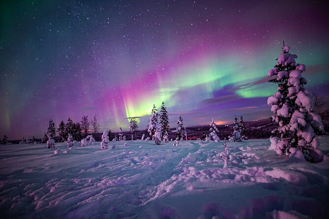 Ski Trekking under the Northern Lights - Leaving Rovaniemi for the Arctic Forest