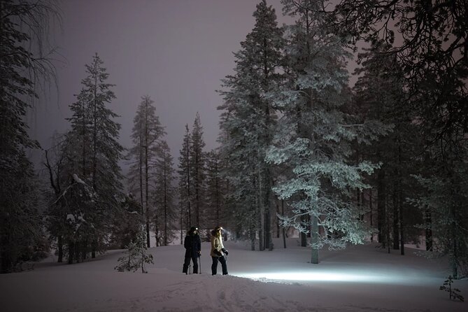 Ski Trekking under the Northern Lights - Looking for the Northern Lights