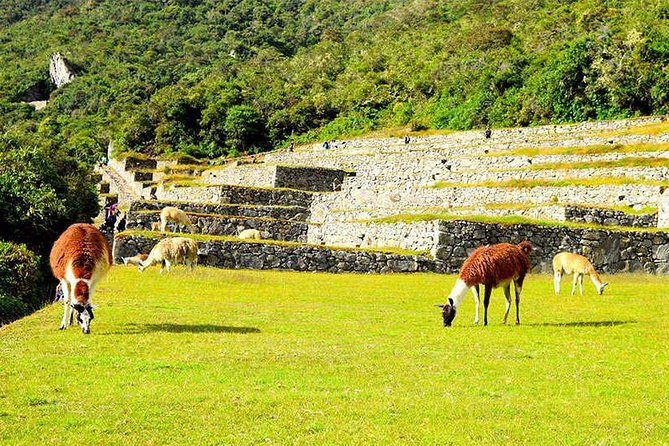 Small Group: 4-Day Inca Trail Trek to Machu Picchu - Who should book this trek