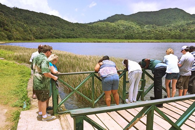 Small-Group Adventure Trek in Grand Etang National Park - Following the spice-scented trail
