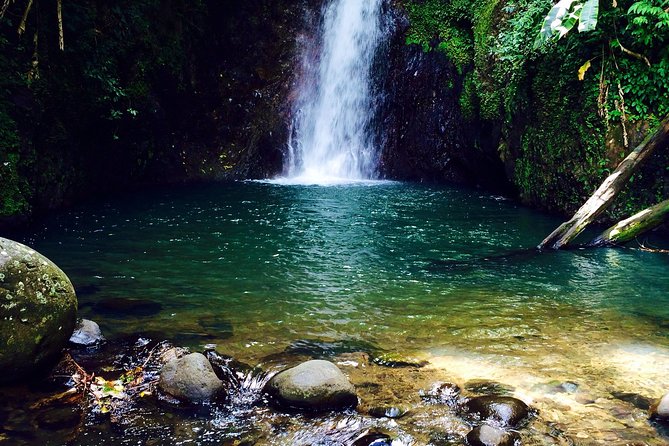 Small-Group Adventure Trek in Grand Etang National Park - Reaching the two waterfalls