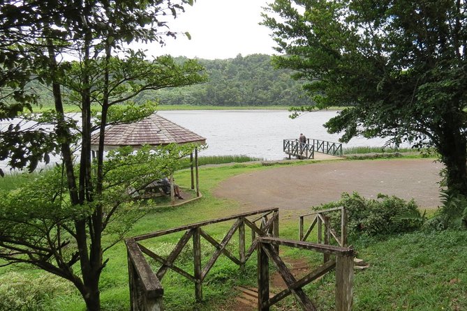 Small-Group Adventure Trek in Grand Etang National Park - What the $99 price really covers