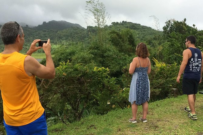 Small-Group Adventure Trek in Grand Etang National Park - How demanding is the hike?