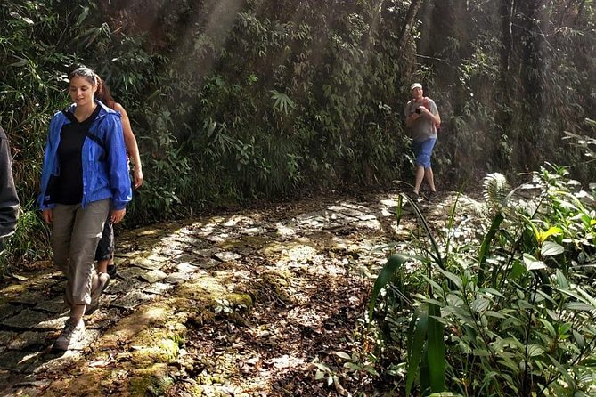 Small Group - Bach Ma National Park Trekking Tour From Hue - A small group with practical support