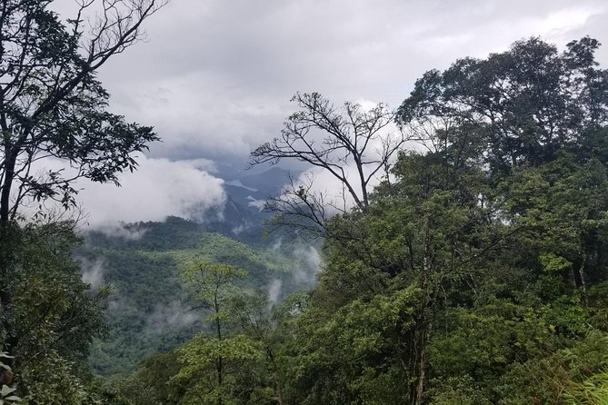 Small Group - Bach Ma National Park Trekking Tour From Hue - Who will get the most from this day