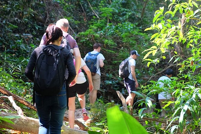 Small Group : Trekking Trip in Chiang Mai (Doi Suthep Area) with Market Tour - The Doi Suthep trail and Monthathan Waterfall