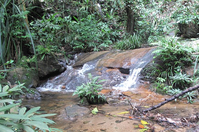 Small Group : Trekking Trip in Chiang Mai (Doi Suthep Area) with Market Tour - Lunch with northern Thai flavor