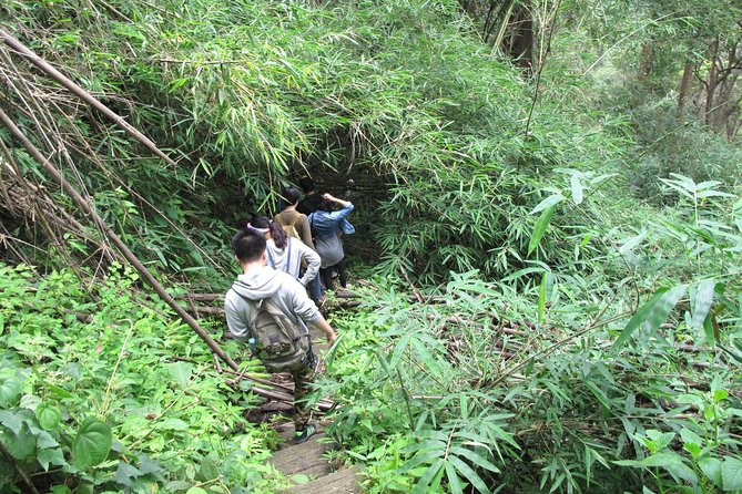 Small Group : Trekking Trip in Chiang Mai (Doi Suthep Area) with Market Tour - Weather, cancellation, and timing
