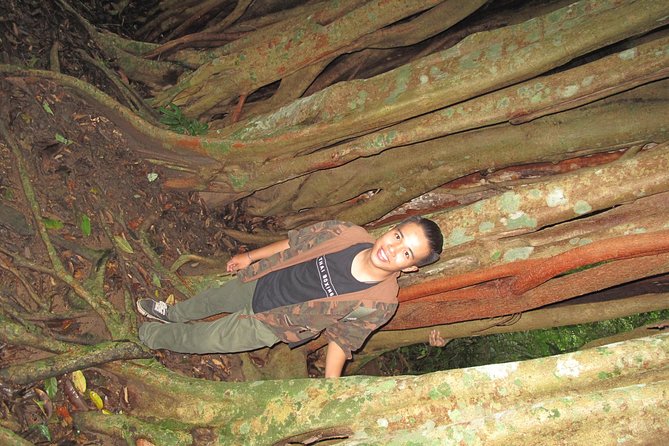 Small Group : Trekking Trip in Chiang Mai (Doi Suthep Area) with Market Tour - Is $62.91 a fair price?
