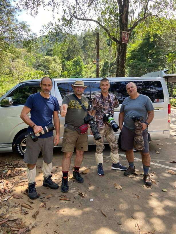 Sri Lanka : Sinharaja Rainforest Guided Trek with Pickup - Monkeys, vipers, frogs, and the small stuff