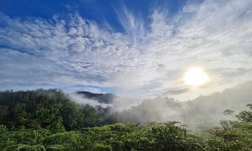 Sri Lanka : Sinharaja Rainforest Guided Trek with Pickup - What the $96 price gets you