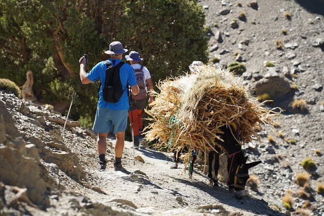 Summiting and Hiking the Atlas Mountains Day Trek from Marrakech - From Marrakech to Imlil in 90 minutes
