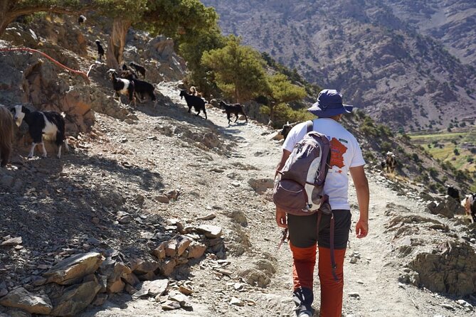 Summiting and Hiking the Atlas Mountains Day Trek from Marrakech - What to wear and bring from October to April