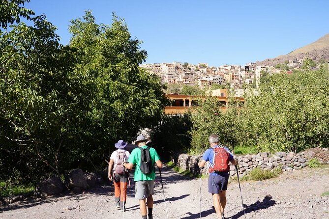 Summiting and Hiking the Atlas Mountains Day Trek from Marrakech - Guide quality and the size of the group