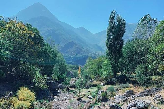 Summiting The Atlas Mountains, Day Hike & Trek From Marrakech - Is $69.79 a fair price?