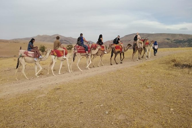 Summiting The Atlas Mountains, Day Hike & Trek From Marrakech - Fitness, clothing, and practical preparation