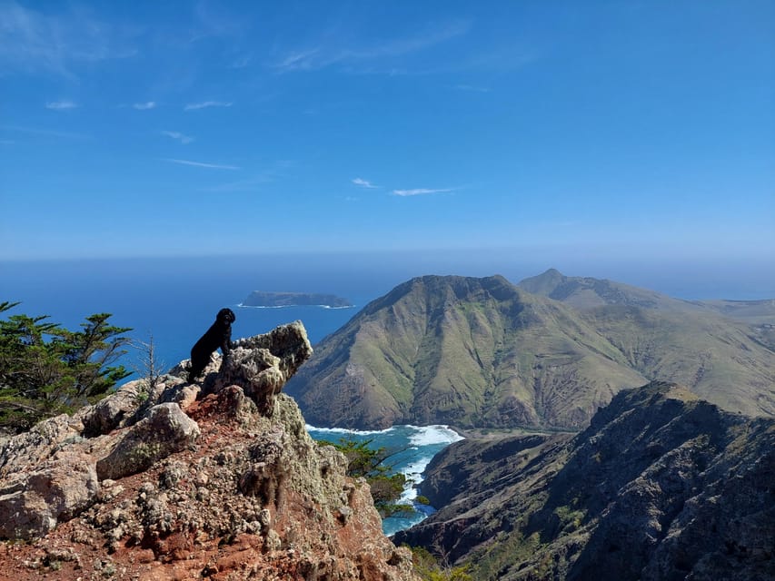 Tailored Trek: Your adventure, Your Way - A Three-Hour Walk Built Around Your Day