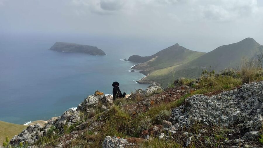 Tailored Trek: Your adventure, Your Way - Meeting Your Guide at the Right Pickup Point
