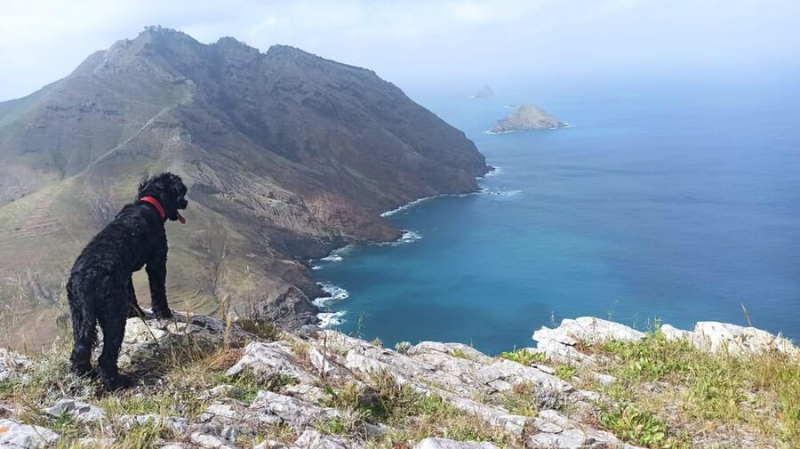 Tailored Trek: Your adventure, Your Way - What the $64 Price Includes