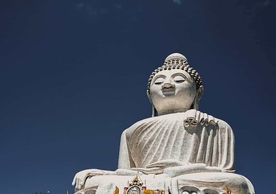 Temple and Jungle Trekking tour with Lunch at Farm-to-Table - A jungle route with a purpose