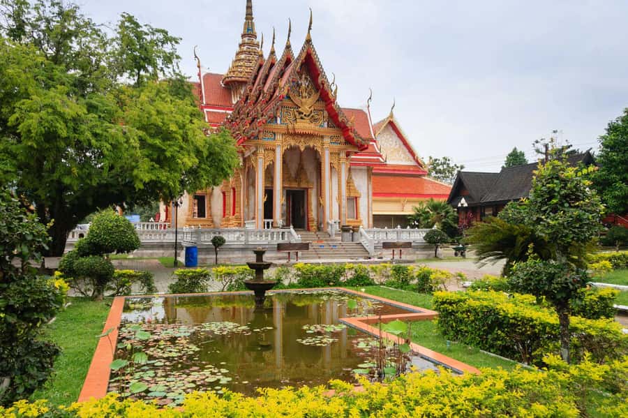 Temple and Jungle Trekking tour with Lunch at Farm-to-Table - Who should book this Phuket tour?