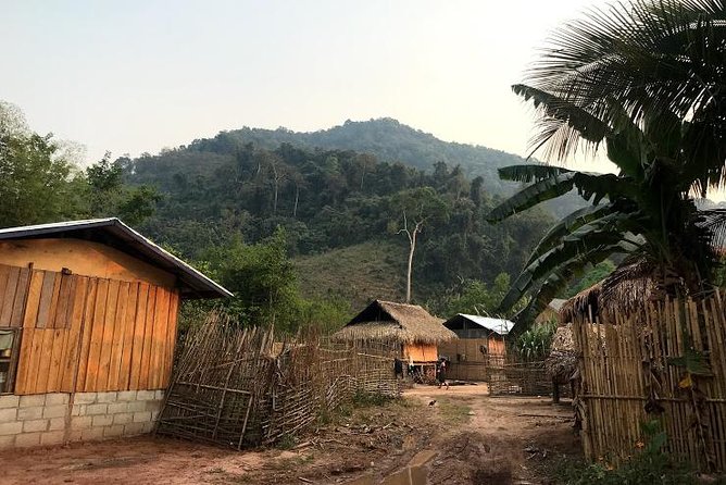 The Ultimate Hiker’s Choice - 5 days forest trek with homestay and camping - Day three: salt licks and a shorter forest day