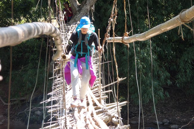 The Wild Explorer - 3 days forest trek with homestay and camping - The key points at a glance