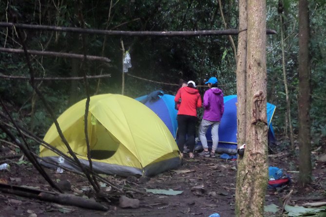 The Wild Explorer - 3 days forest trek with homestay and camping - Day three: one last hard push through the trees