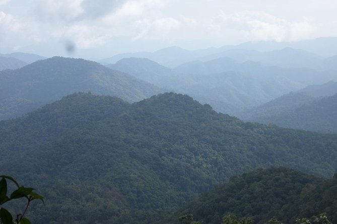 The Wild Explorer - 3 days forest trek with homestay and camping - What the guides add to the experience