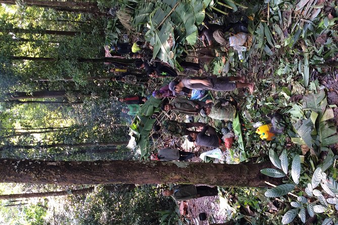 The Wild Explorer - 3 days forest trek with homestay and camping - Day two: longer hours, camp skills, and a mountain-top night