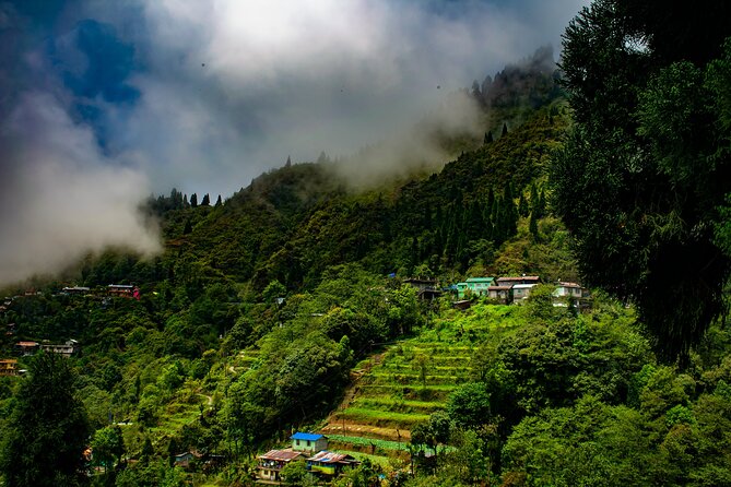 Tiger Hill Darjeeling Nature Walk (3 Hours Guided Trekking Experience) - Walking Tiger Hill instead of just stopping for a view