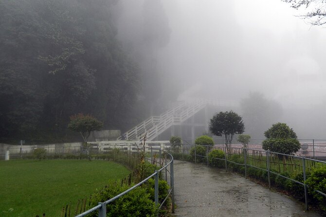 Tiger Hill Darjeeling Nature Walk (3 Hours Guided Trekking Experience) - The climb toward Tiger Hill and the Himalayan payoff