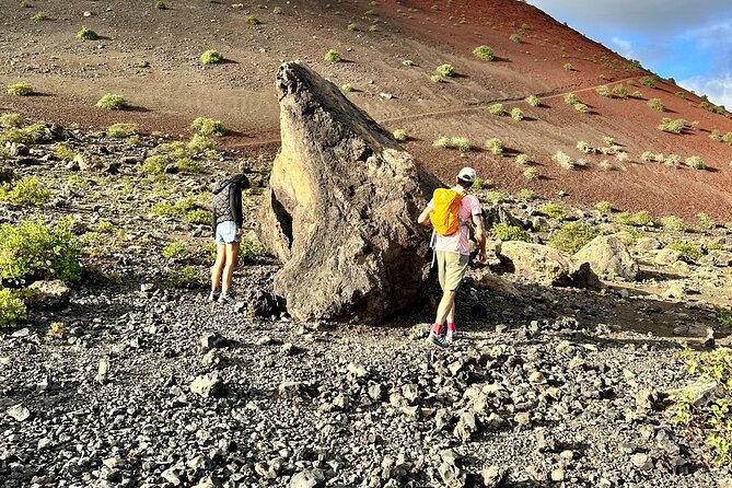 Timanfaya National Park Trekking with a Typical Canarian Snack - The fallen palm tree, snack, and local wine