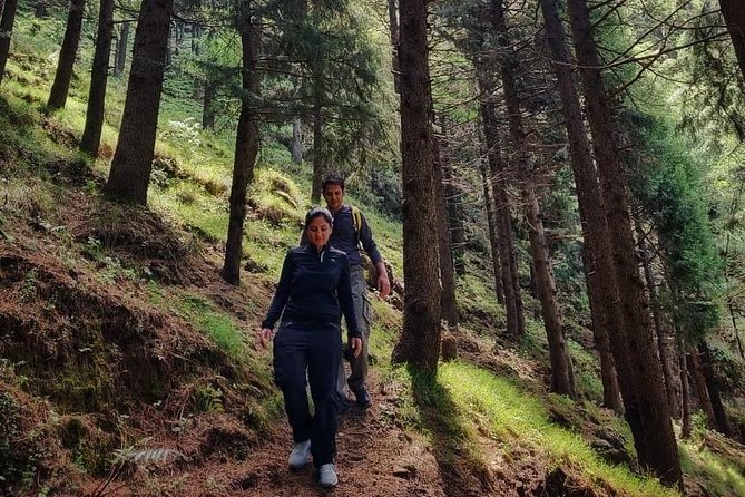 Top Tibba Trek - Mussoorie - Walking through the forest toward 8,500 feet