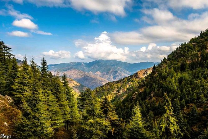 Top Tibba Trek - Mussoorie - Who should book this hike