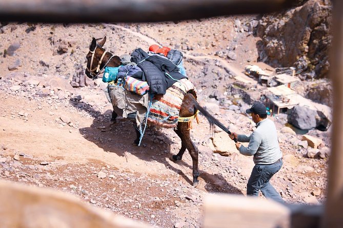 Toubkal Trekking 2 Days - The descent is not an afterthought