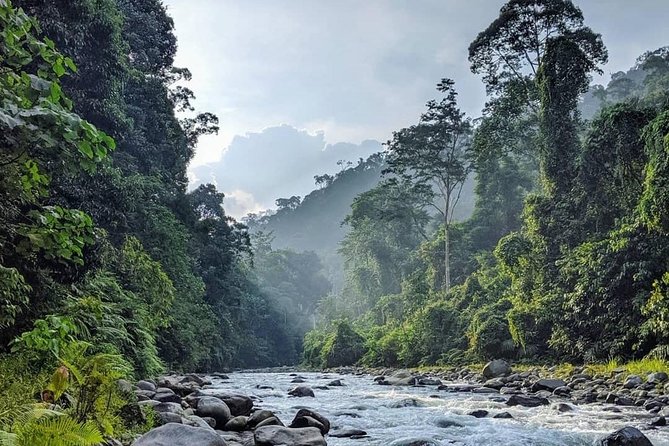 TOUR PACKAGE (jungle trekking, taxi, Room) 4 DAYS 3 NIGHTS in BUKIT LAWANG - What is included, and what you still need to plan